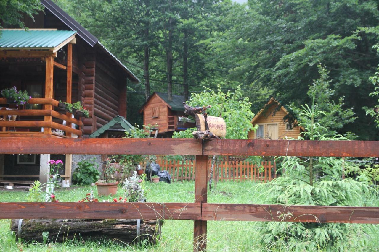 Bungalows Prokletije Gusinje Exterior foto