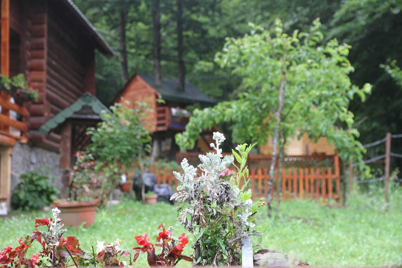 Bungalows Prokletije Gusinje Exterior foto